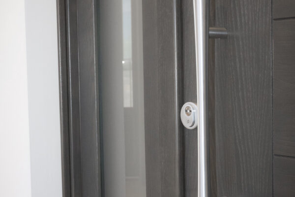 PORTONE INGRESSO LEGNO 3